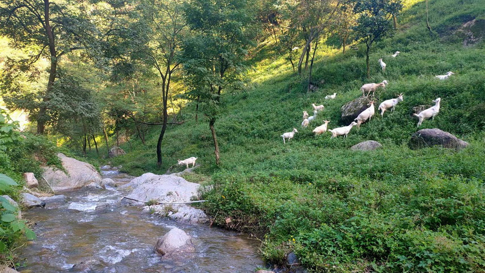 304am永利集团官网(中国)有限公司-Official Website